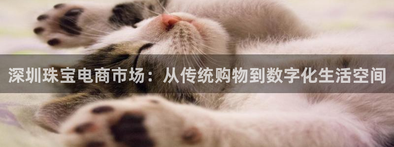 新宝5总代：深圳珠宝电商市场：从传统购物到数字化生活空间