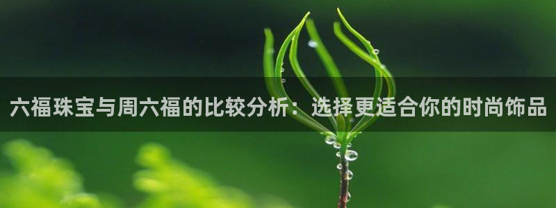 新宝5球维33 300：六福珠宝与周六福的比较分析：选择更适合你的时尚饰品