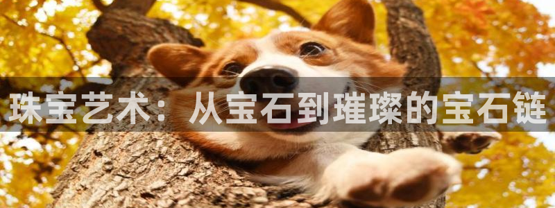 新宝5娱乐登陆：珠宝艺术：从宝石到璀璨的宝石链