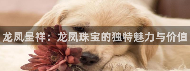 5新宝：龙凤呈祥：龙凤珠宝的独特魅力与价值