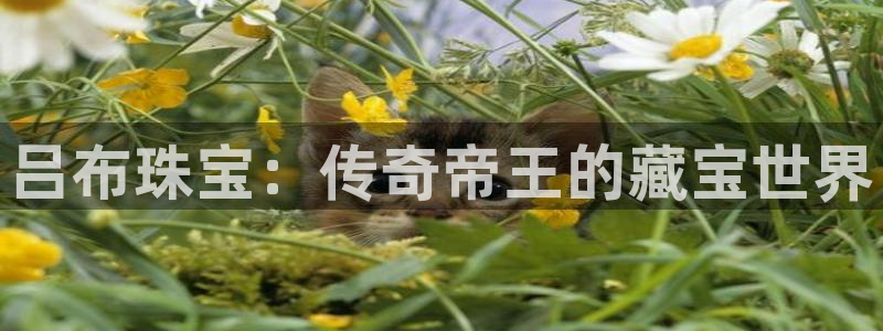 新宝5开好：吕布珠宝：传奇帝王的藏宝世界
