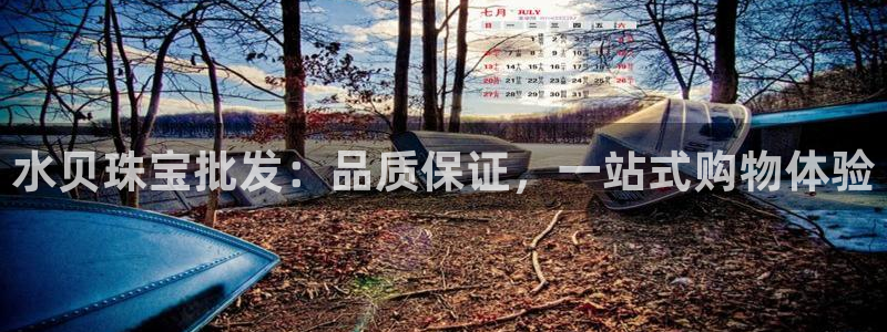 新宝5测：水贝珠宝批发：品质保证，一站式购物体验
