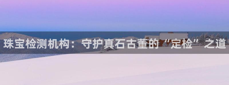 5新宝：珠宝检测机构：守护真石古董的“定检”之道
