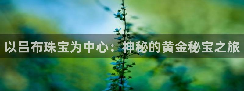 新宝h2O5O5O：以吕布珠宝为中心：神秘的黄金秘宝之旅