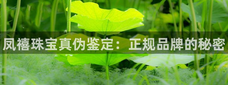 新宝j2O5O5O：凤禧珠宝真伪鉴定：正规品牌的秘密