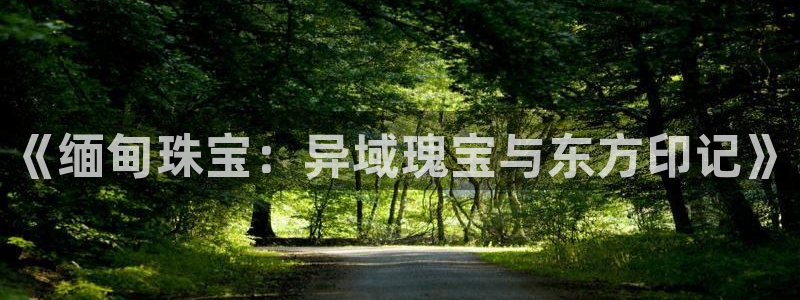 新宝5平台注册：《缅甸珠宝：异域瑰宝与东方印记》