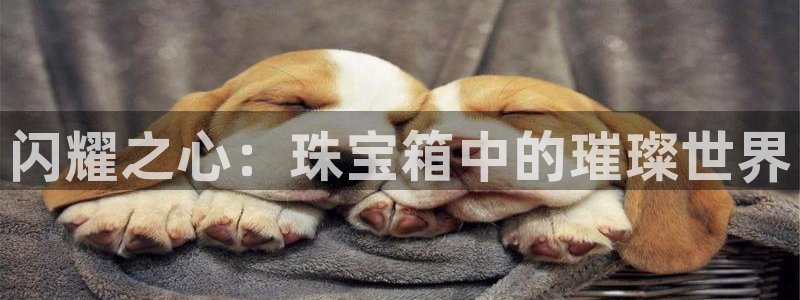 新宝5下载 迅雷下载：闪耀之心：珠宝箱中的璀璨世界