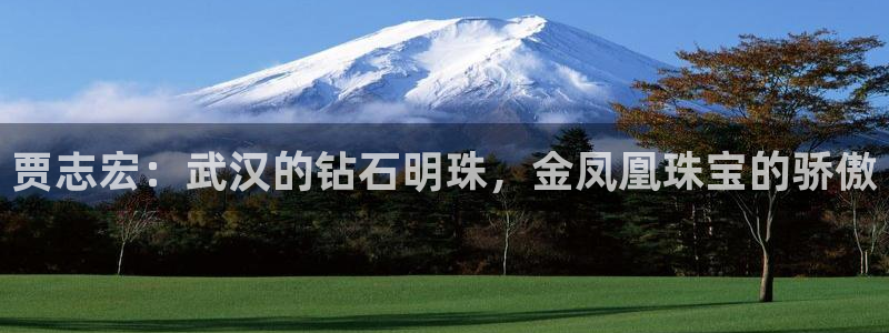 新宝5球维33 300：贾志宏：武汉的钻石明珠，金凤凰珠宝的骄傲
