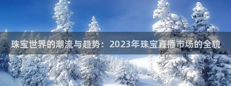 新宝5平台注册公司：珠宝世界的潮流与趋势：2023年珠宝直播市场的全貌