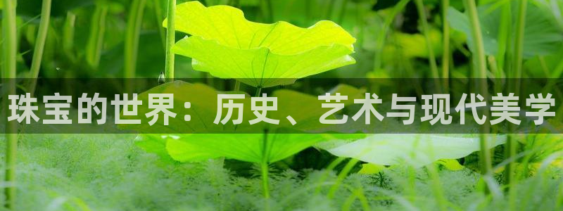 新宝5代理：珠宝的世界：历史、艺术与现代美学