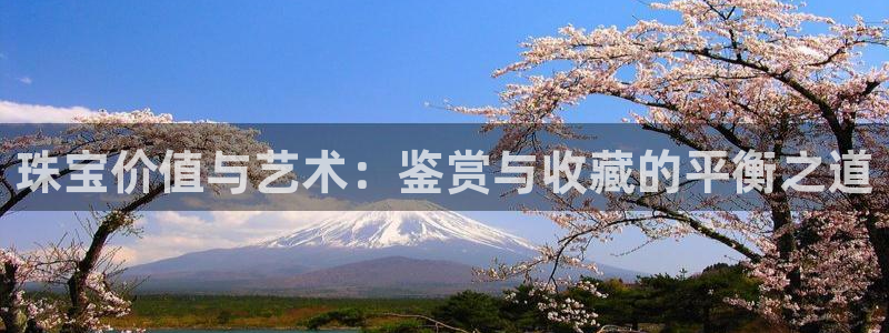 新宝5谠631257：珠宝价值与艺术：鉴赏与收藏的平衡之道