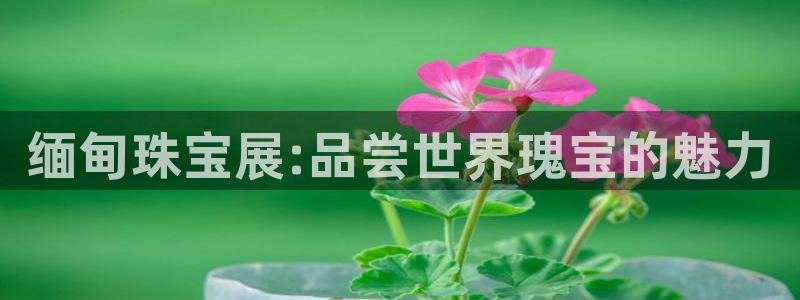 有人知道新宝5么：缅甸珠宝展:品尝世界瑰宝的魅力