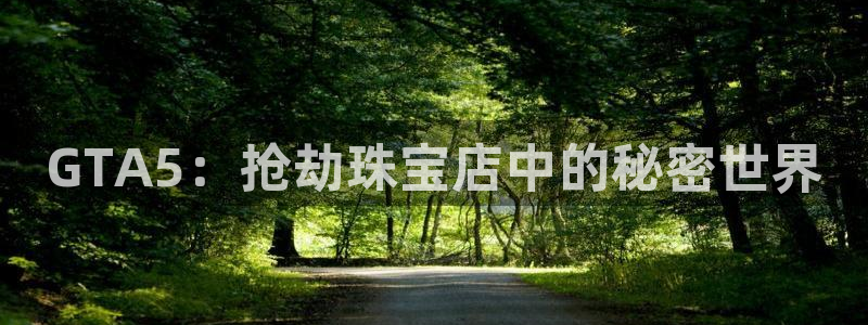 新宝5测速登录：GTA5：抢劫珠宝店中的秘密世界
