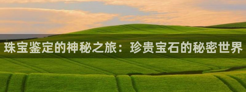 新宝5手机测速：珠宝鉴定的神秘之旅：珍贵宝石的秘密世界