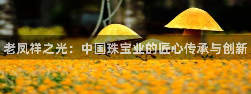 新宝5下载：老凤祥之光：中国珠宝业的匠心传承与创新