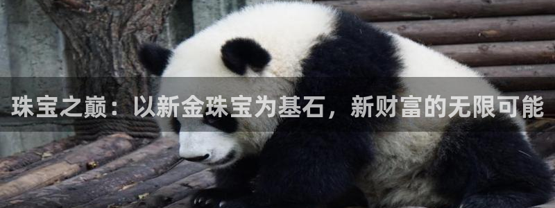 新宝5首页：珠宝之巅：以新金珠宝为基石，新财富的无限可能