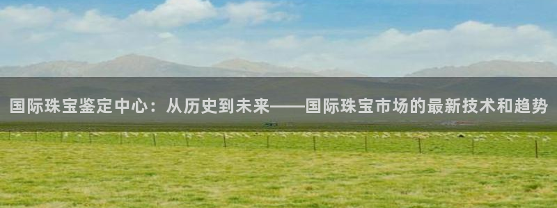 新宝5娱乐如：国际珠宝鉴定中心：从历史到未来——国际珠宝市场的最新技术和趋势