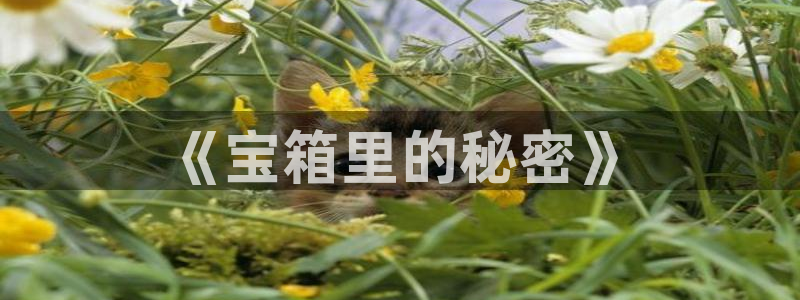 有人知道新宝5么：《宝箱里的秘密》