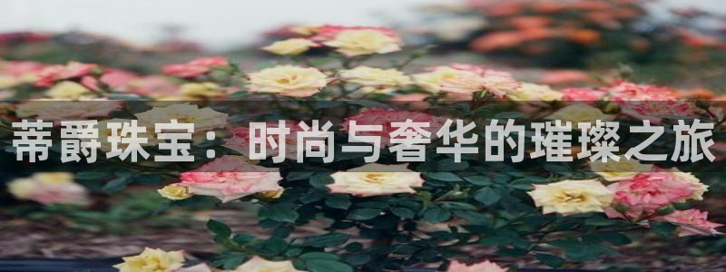 新宝5登录：蒂爵珠宝：时尚与奢华的璀璨之旅