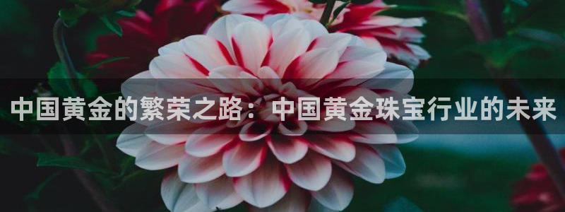 新宝5户端：中国黄金的繁荣之路：中国黄金珠宝行业的未来