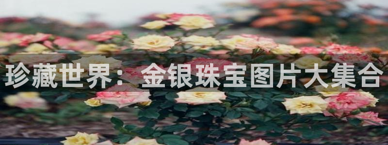 新宝5注册平台：珍藏世界：金银珠宝图片大集合