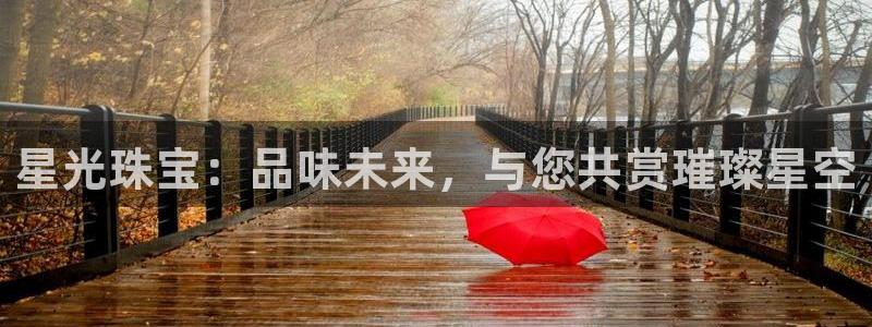 新宝5网：星光珠宝：品味未来，与您共赏璀璨星空