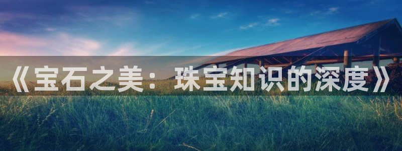 新宝5平台注册资金：《宝石之美：珠宝知识的深度》