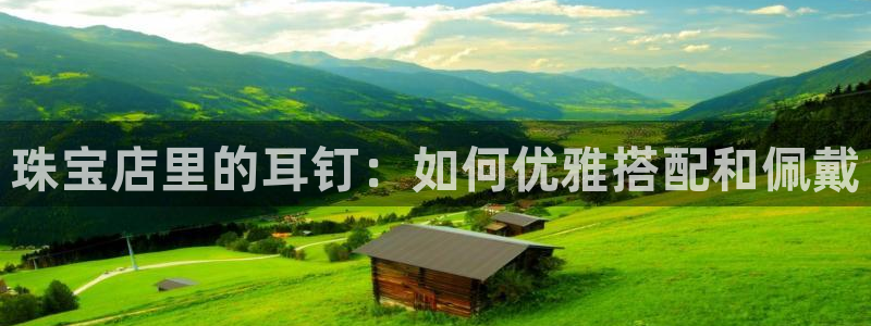 新宝5蒋7O667：珠宝店里的耳钉：如何优雅搭配和佩戴