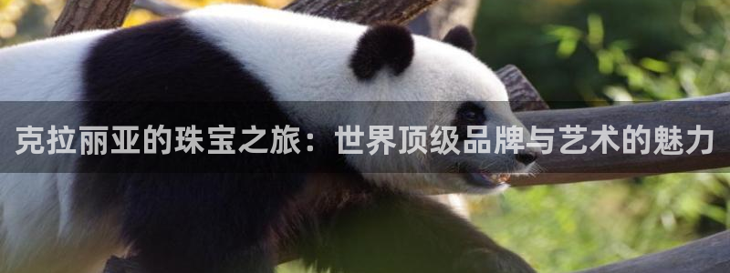 新宝5官方网站：克拉丽亚的珠宝之旅：世界顶级品牌与艺术的魅力