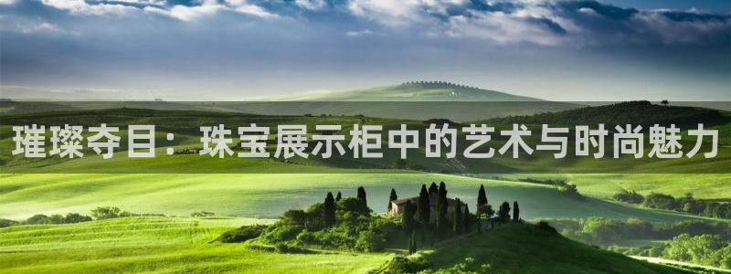 新宝5吕74OOO5：璀璨夺目：珠宝展示柜中的艺术与时尚魅力