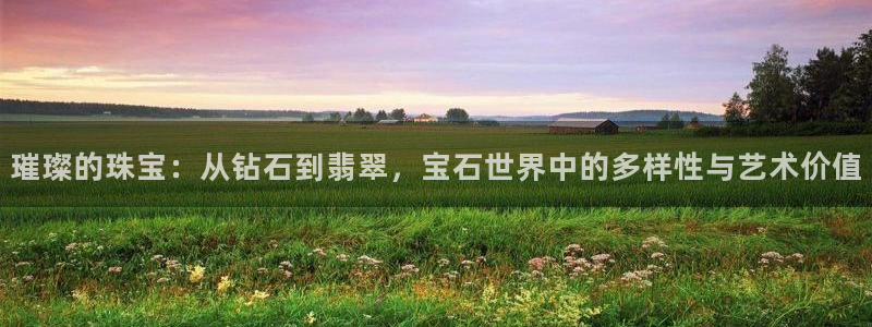 新宝5台卡：璀璨的珠宝：从钻石到翡翠，宝石世界中的多样性与艺术价值