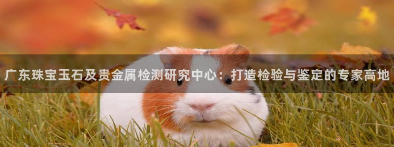 新宝5线路登录：广东珠宝玉石及贵金属检测研究中心：打造检验与鉴定的专家高地