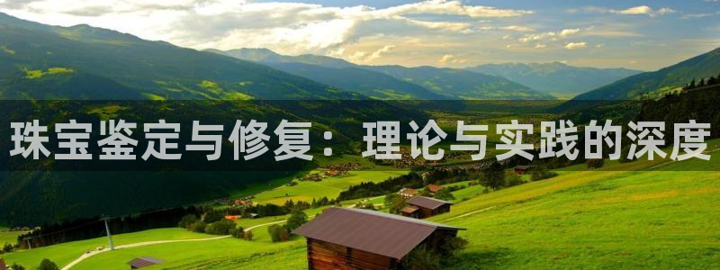 新宝5线路登录：珠宝鉴定与修复：理论与实践的深度
