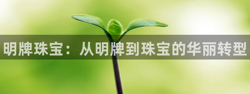 新宝5平台：明牌珠宝：从明牌到珠宝的华丽转型