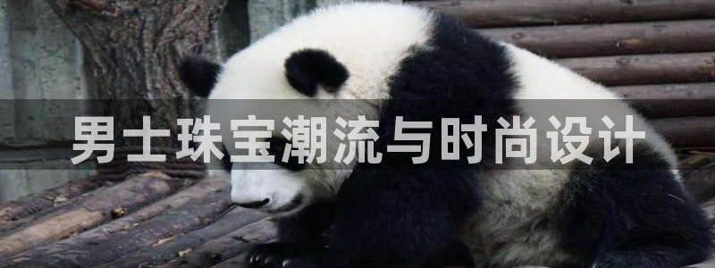 新宝5如何注册：男士珠宝潮流与时尚设计