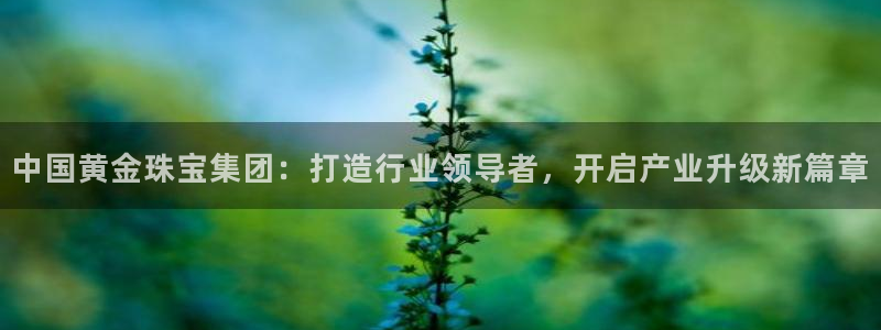 新宝5注册霸：中国黄金珠宝集团：打造行业领导者，开启产业升级新篇章
