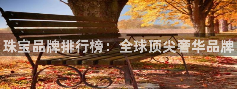 新宝股东瞧听2 5 5