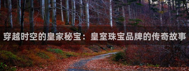 新宝 5测速：穿越时空的皇家秘宝：皇室珠宝品牌的传奇故事