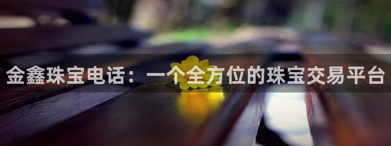 新宝股东瞧听2 5 5