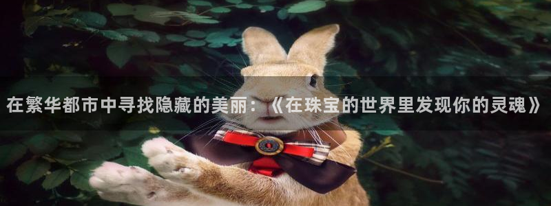 新宝b2O5O5O：在繁华都市中寻找隐藏的美丽：《在珠宝的世界里发现你的灵魂》