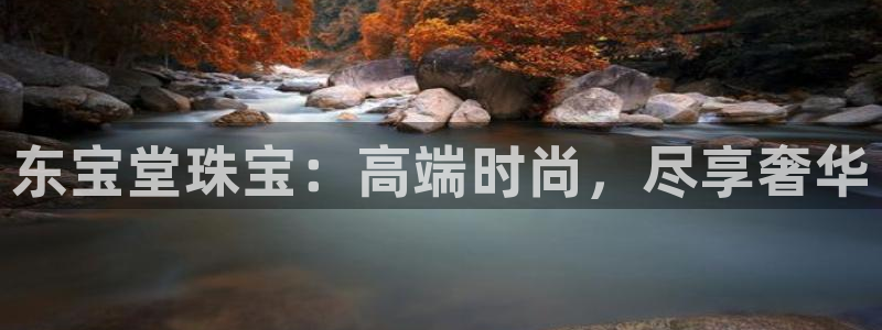 新宝5内部：东宝堂珠宝：高端时尚，尽享奢华