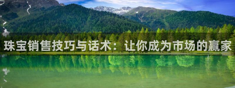 新宝5是谁的：珠宝销售技巧与话术：让你成为市场的赢家