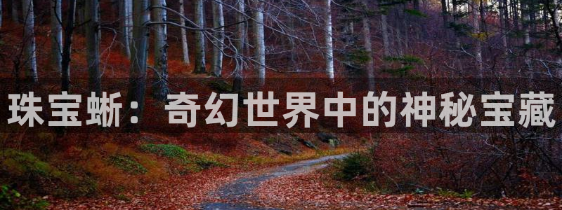 5新宝：珠宝蜥：奇幻世界中的神秘宝藏