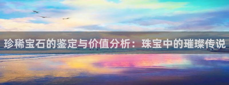 新宝b2O5O5O：珍稀宝石的鉴定与价值分析：珠宝中的璀璨传说