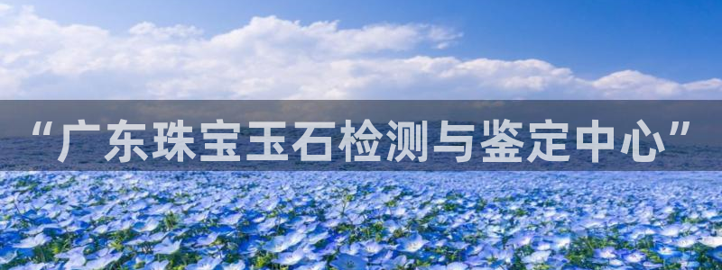 新宝5登录入口网址：“广东珠宝玉石检测与鉴定中心”