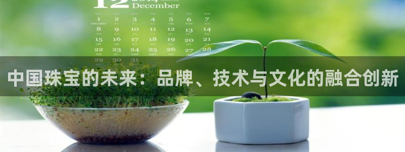 新宝5苹果手机下载：中国珠宝的未来：品牌、技术与文化的融合创新