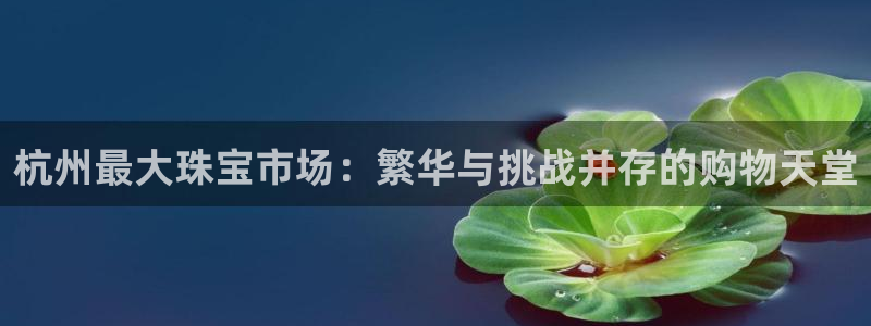 新宝5软件下载：杭州最大珠宝市场：繁华与挑战并存的购物天堂