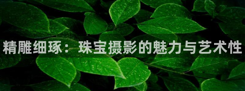 新宝5彩票是正规平台吗：精雕细琢：珠宝摄影的魅力与艺术性