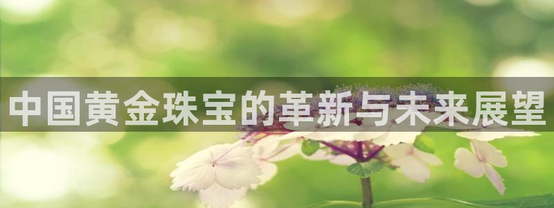 新宝5苹果手机下载：中国黄金珠宝的革新与未来展望