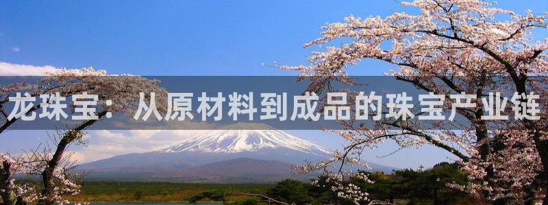 新宝5注册流程：龙珠宝：从原材料到成品的珠宝产业链